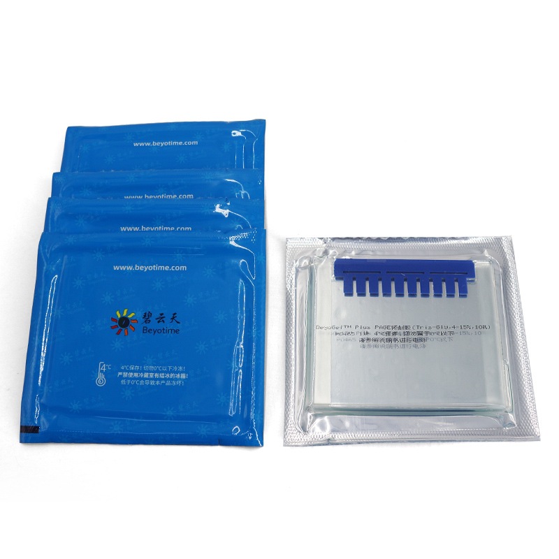 BeyoGel™ Plus PAGE预制胶(Tris-Gly, 12%, 15孔) P0459S P