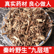 秦岭野生九层塔中药材500g  金不换 罗勒 兰香草 千层塔 香佩兰