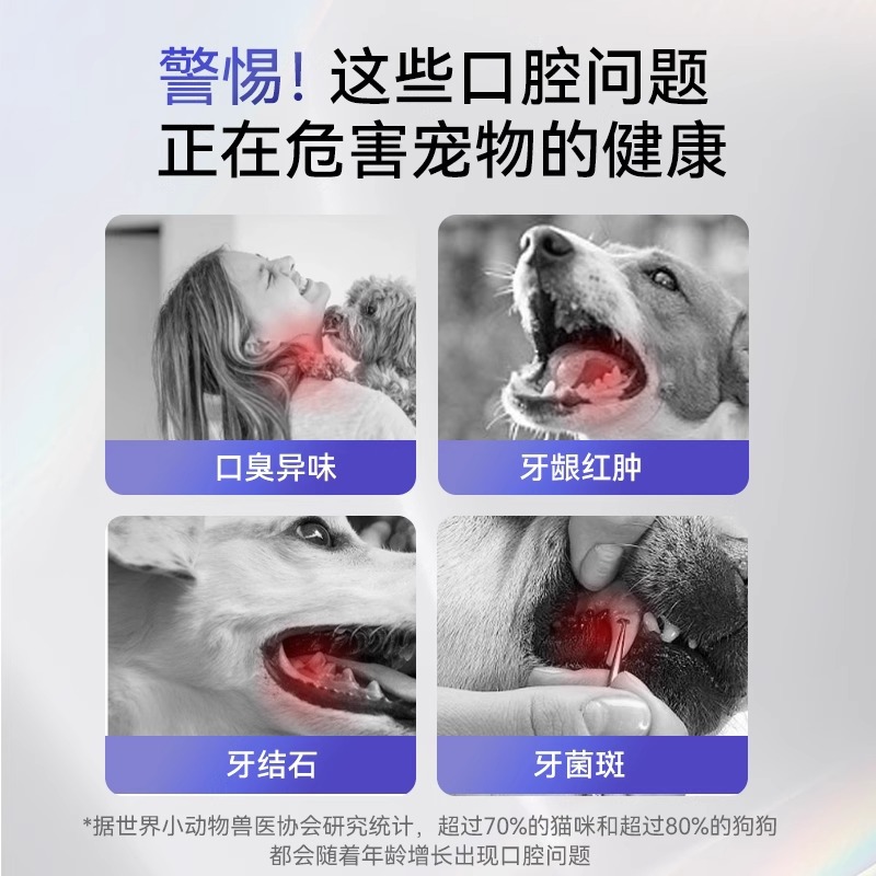 Pasta de dientes para mascotas, enzimas biológicas, eliminación de manchas de dientes para gatos y perros, piedra de sarro, pasta de dientes de limpieza bucal Teddy Bichon