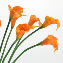 仿真花批发手感尖咀马蹄莲家居商务插花酒店会所装饰摆件海芋花艺