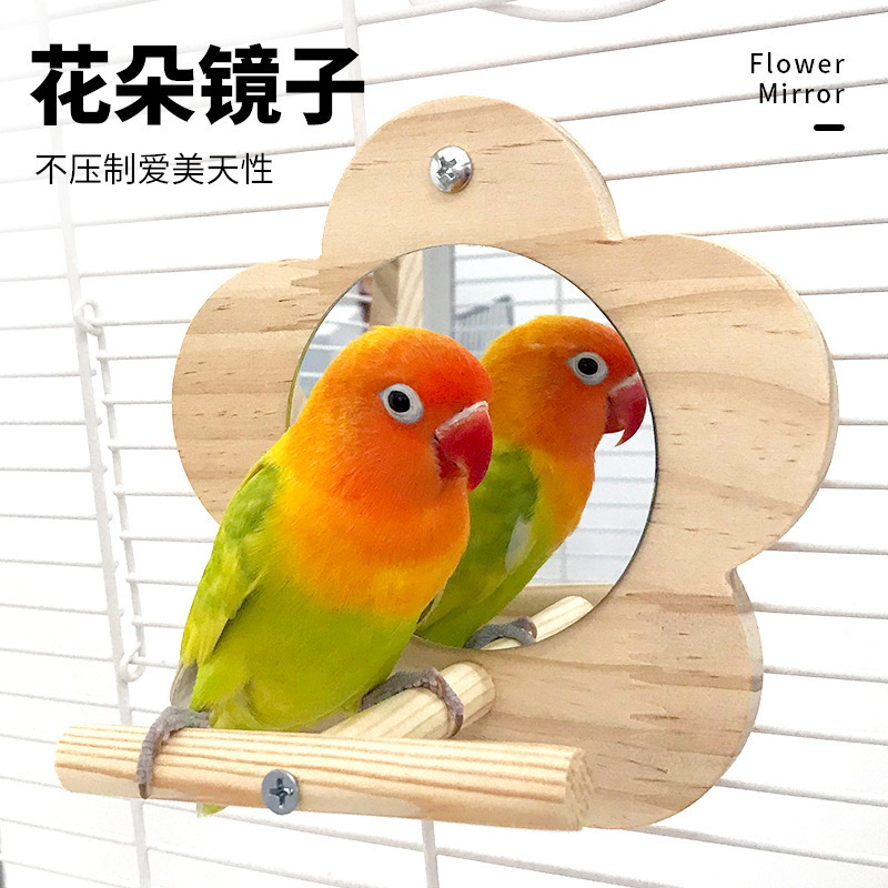 オウムムーンスイング虎皮牡丹黒鳳凰おもちゃオウムスイングリングムーンスタンドスタンド枝鳥かごアクセサリー|undefined