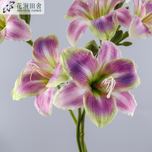 滨  WҾӾƵܛb̻c[廨辰ٻ