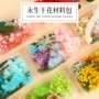 天然幼儿园手工儿童干花