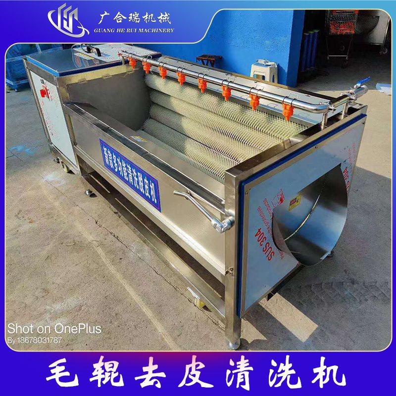 多功能大型毛辊清洗 商用甘蔗柑橘毛辊清洗打蜡设备 海产品清洗机