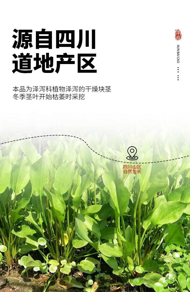 Dried Alisma Slices Ze Xie 泽泻 500g Sichuan Water Plantain Rhizome for Decoction and Culinary Use quality and texture