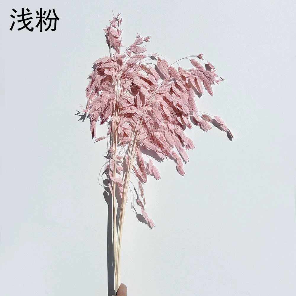 Сохранённые вечные цветочные стебли Xiao Pianwang Cao, цветочная сушёная букетная композиция, 10 шт, 30–60 см
