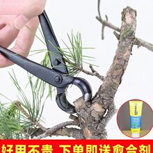 �辰�򹝼����Q���Ԙ����九�޼��Q���I�@ˇ��ˇ���������B�o����
