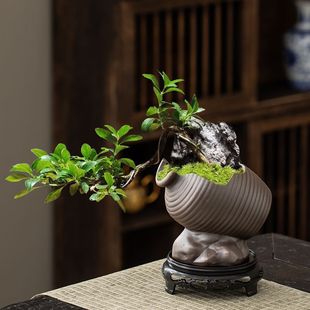 ���ͻ����մɶ���¹��҃����ℓ���辰������ɰ�Gֲ��̨��С��ƿ