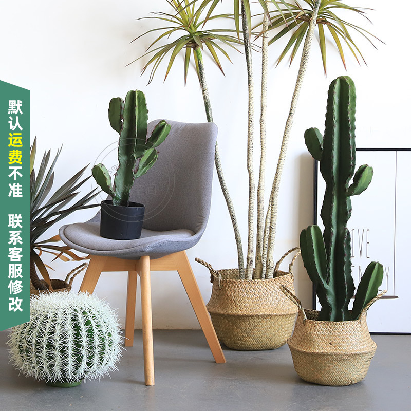 P U Simulated Cactus Mexican Measuring Ruler Cactus Column Simulated Green Plants Fake Potted Plants Window Decoration Ornaments Green Plants