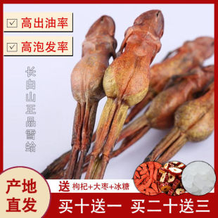 �L��ɽѩ������ܸ���ֻ�|������͸�ѩ�������a�Ǵ��͝M�خa