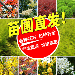 �t�~���̶����N�����޸������B�N����Ʒ�N�Rȫ�a��؛Դ�༾��õ��