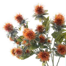 ���滨���� �ٻ��Wʽ3�^ɽ�t�� �ɻ����ϻ���c�b�ˇ�͹Ų���