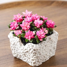 ѩ֮ɶֲ҃ȺBGֲk՚辰