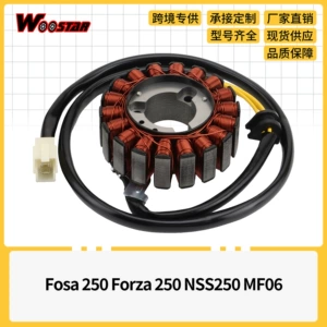 Fosa 250 Forza 250 Nss250 Mf06 üçün alışdırma bobini statoru
