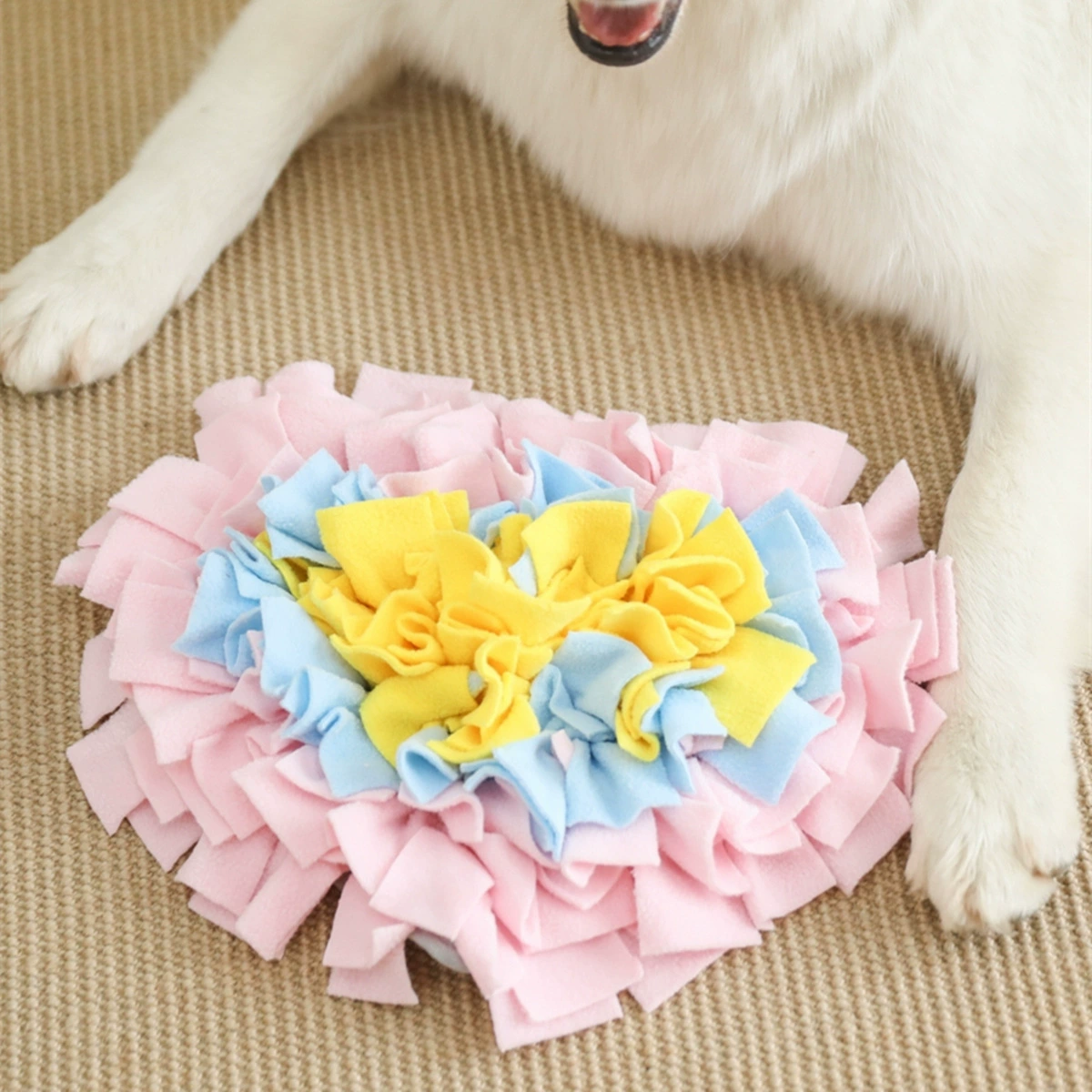 Любящие домашние животные нюхают собачью подушку