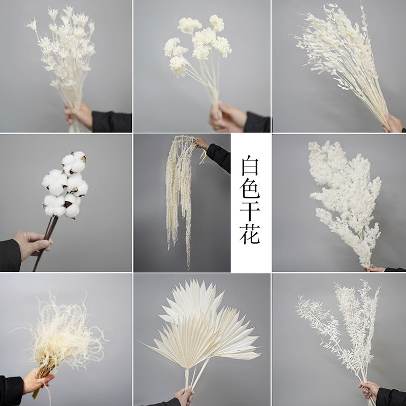 White Dried Flowers, Cream Style Real Flower Bouquets, Dormitory Decorations, Penglai Pine, Dragon Whiskers, Pink and Starry Cotton