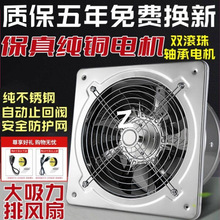 �Ś������L�ȏN�����ÓQ���ȴ��ʳ��͟��C���L�C���L�C����