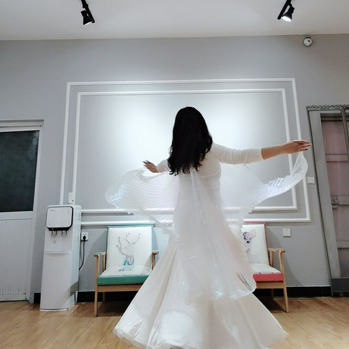 Dance Rhythm Adult Wing Hand Hook Version White Transparent Gold Wing Dance Performance Prop Cloak Belly Dance Costume for Photography