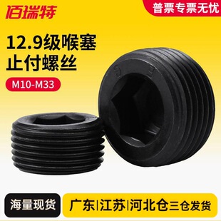 ԭ�b12.9��ֹ���ݽz��׼BSP�����ݽz�������������^���PG1.5����
