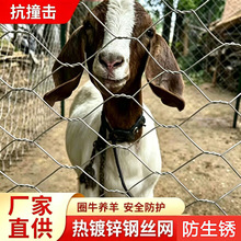 ����\䓽z�W����Ȧţ��¹��ȸ�F�z�W�Bֳ���oȦ���@�˵ؔQ������