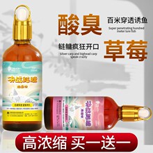 鲢鳙专用钓鱼小药野钓添加剂蒜酸臭味大头鱼花白鲢饵料诱鱼开口剂