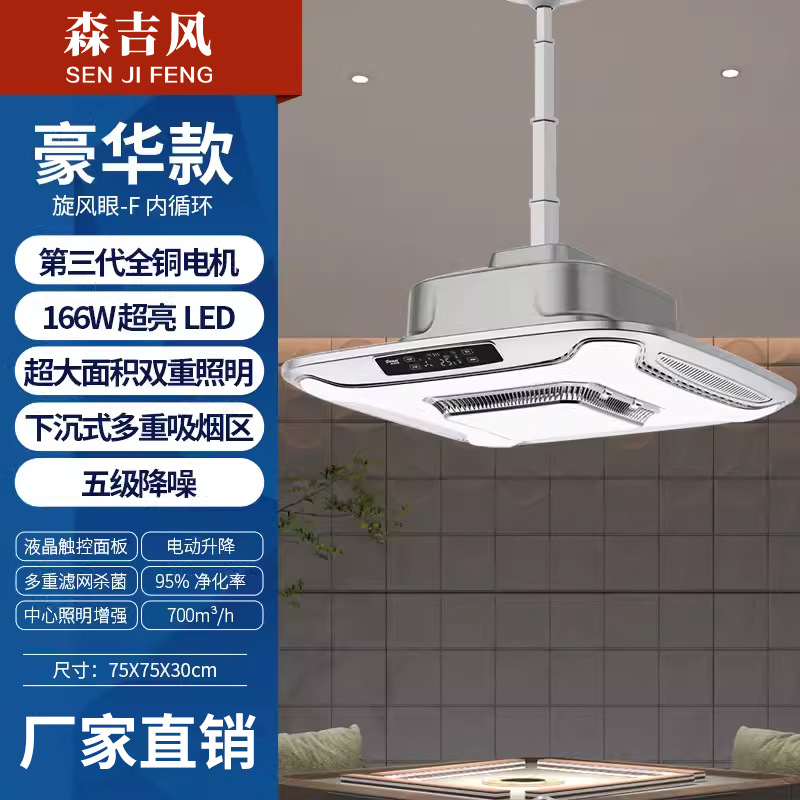 사이클론 아이 F 내부 순환 그레이