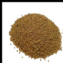 �ϻ���ޣ�ݷN�Ѷ��������ݷN���ļ��Bֳι��ţ�u���Z���~���ݷN��