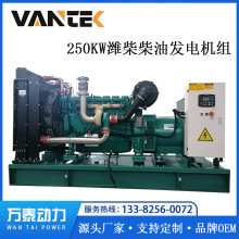 250千瓦潍柴柴油发电机组 8小时底盘油箱 250KW酒店备用发电机