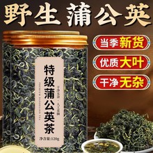 蒲公英正品特级野生中药材整根蒲公英茶罐装大分量120g