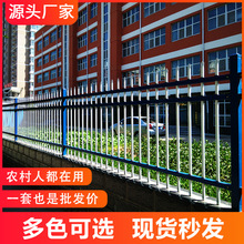 eͥԺС^WУSroڸx FˇoaS