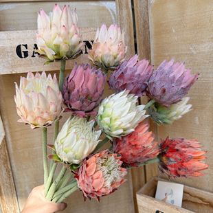 Single King Flower Nordic Thistle South Africa Decoration Vintage Home Flower Arrange Flower Art Simulation Wedding Flower King Flower