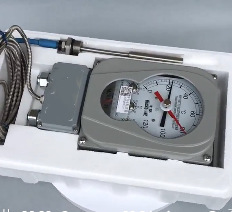 变压器温度器 型号:WT111-WTYK-802ATH库号：M29490