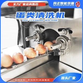 定制商用小型单排鸡鸭蛋清洗机皮蛋无菌蛋去泥全自动不锈钢洗蛋机