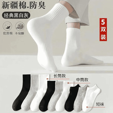 5�p���½��ޡ���Ů�m�����LͲ��ɫ���m�������ļ������\���m����