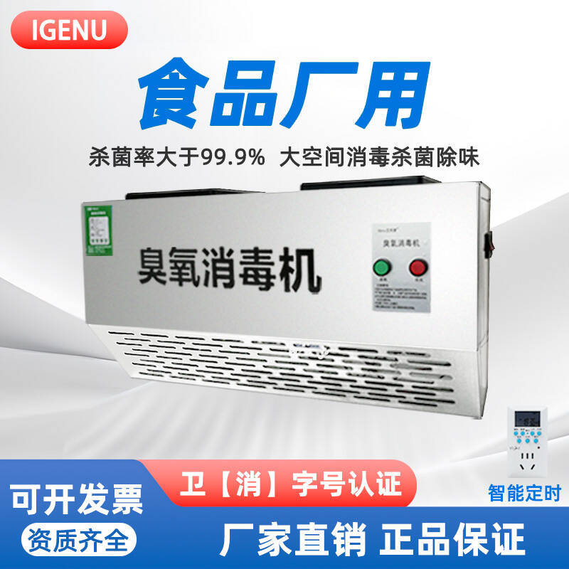 IG壁挂式臭氧发生器垃圾房除臭空气净化食品厂车间臭氧消毒机
