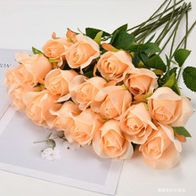 ����ѩɽõ�廨���ٻ������Ҿӿ͏d�b�c���յ���