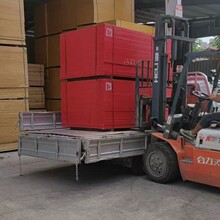 LɳSֱNĤ壬ʩbތãģľ