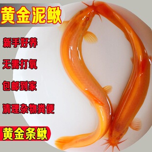 �S�����q��ˮ�坍�~�^�p�����~�ͻ������С�����S���q�S�����q��