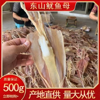 东山鱿鱼母吊母生晒本港鱿鱼带卵海鲜干货鱿鱼籽