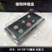 ���������� ��������������� ���␞�B�� �~������P�Ӻ� ������