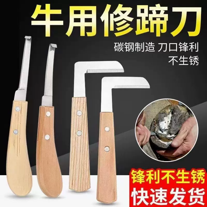 Крупный рогатый скот с ножом для ремонта копыт с прямым ножом