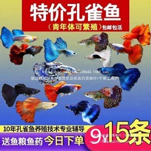 ��ȸ�~���N�^�p�~С�͵�ˮ���B�Ꭷ�~�������R���~��ֳ�~��