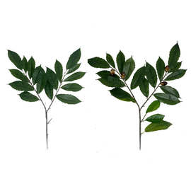仿真植物苦储绿植假苦储树叶园林工程造景装饰假树叶厂家批发