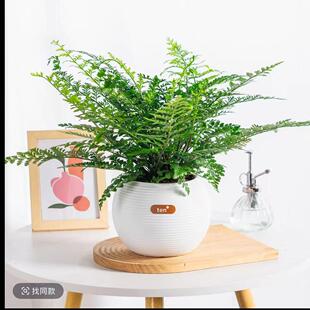 ��ķާ�W�tֲ���������ԾGֲ�҃ȃ����՚�ˮ��ާ��^�~���B���Ի�