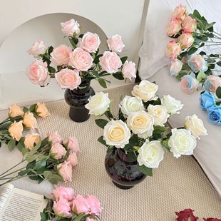 ����õ�廨��֧���˹��Ҿӻ�Y�b������滨�ٻ����컨�S�����l