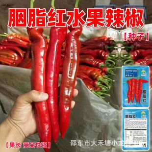 ��֬�tˮ�������N���ش�t��������������N�Ѳ�ɫ������΢������