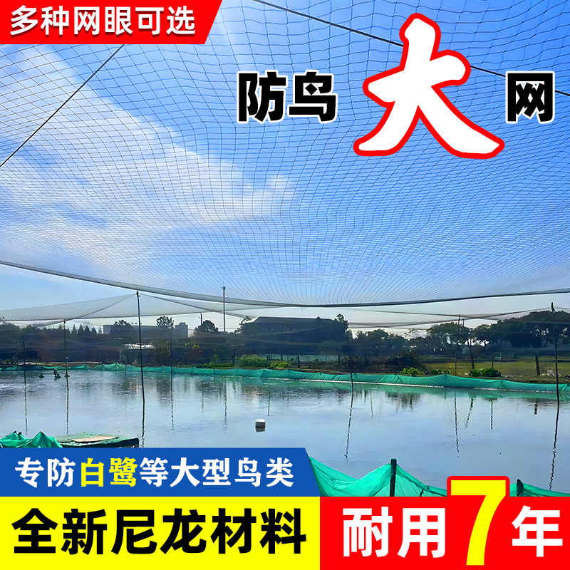 鱼塘防鸟网4厘米5厘米网眼10公分大网孔池塘泥鳅青蛙龙虾养殖天网