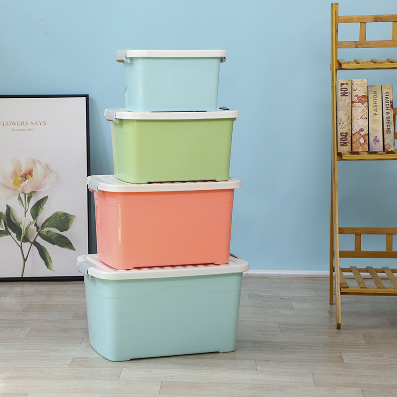 Macaroon powder, blue, green mixed