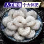 低脂冰冻冷冻即食青虾仁