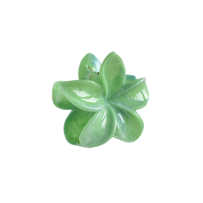 38g Weight Hair Claws Hair Accessories Type 1 Piece Quantity Casual Occasion Plastic, Resin Material Plumeria Pattern Women's Gender Simple Style Style Simple Style Women's Plumeria Plastic Resin Hair Claws 16